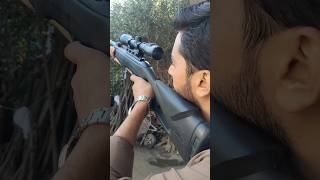 The Best Gamo Airguns Review and Comparison | Air Rifle Comparison Tested.
