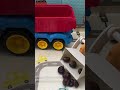 🚗 The tractor helps the truck load the cargo. #toycars #youtubekids #calmkids | Машинки для детей
