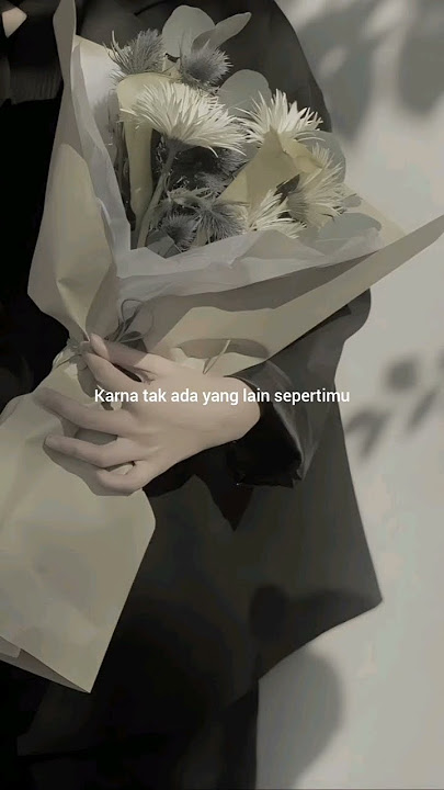 Tiket - Hanya kamu yang bisa #lagujadul #storywa #historylagu #nostalgia #tiket #story