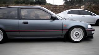 EF vs DA Meet 2016 Cruise