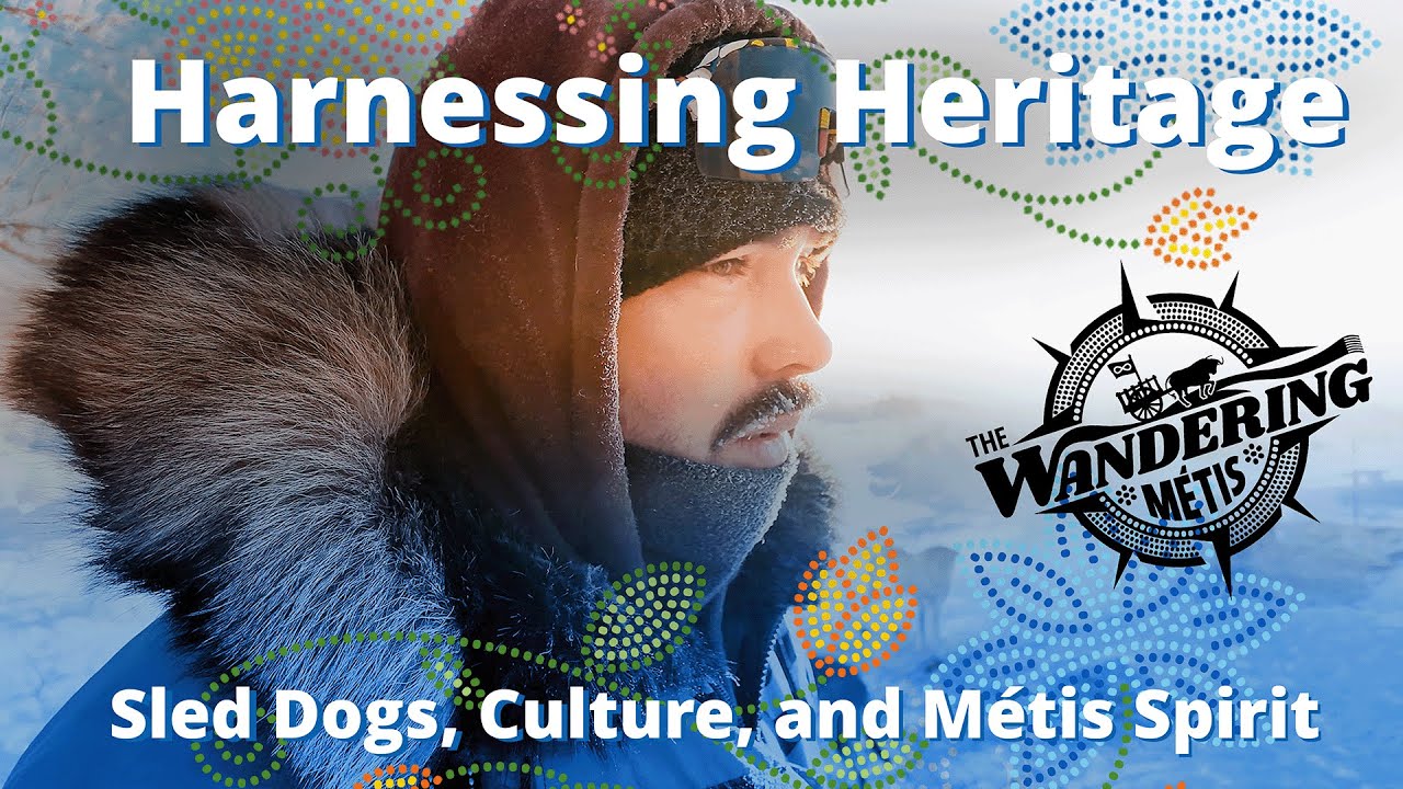 Hunting Dog Metis The Wandering Métis | Harnessing Heritage- Sled Dogs, Culture, and ...