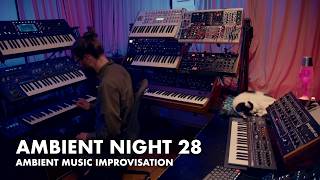 Ambient Night 28 - Ambient music improvisation