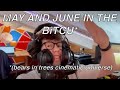 May and June in the BiTCU (Bears in Trees Cinematic Universe)
