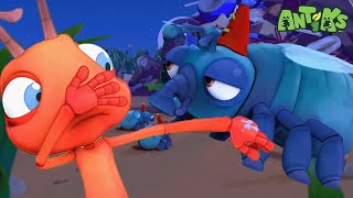 Party Poopers| 😄🐜| Antiks Adventures - Joey and Boo's Playtime by Antiks Adventures - Joey and Boo's Playtime 794 views 6 days ago 2 minutes, 8 seconds