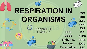Respiration in Organisms Explained | Class 7 Science Chapter 6