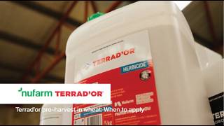 Terrad'or Pre Harvest in wheat: when to apply