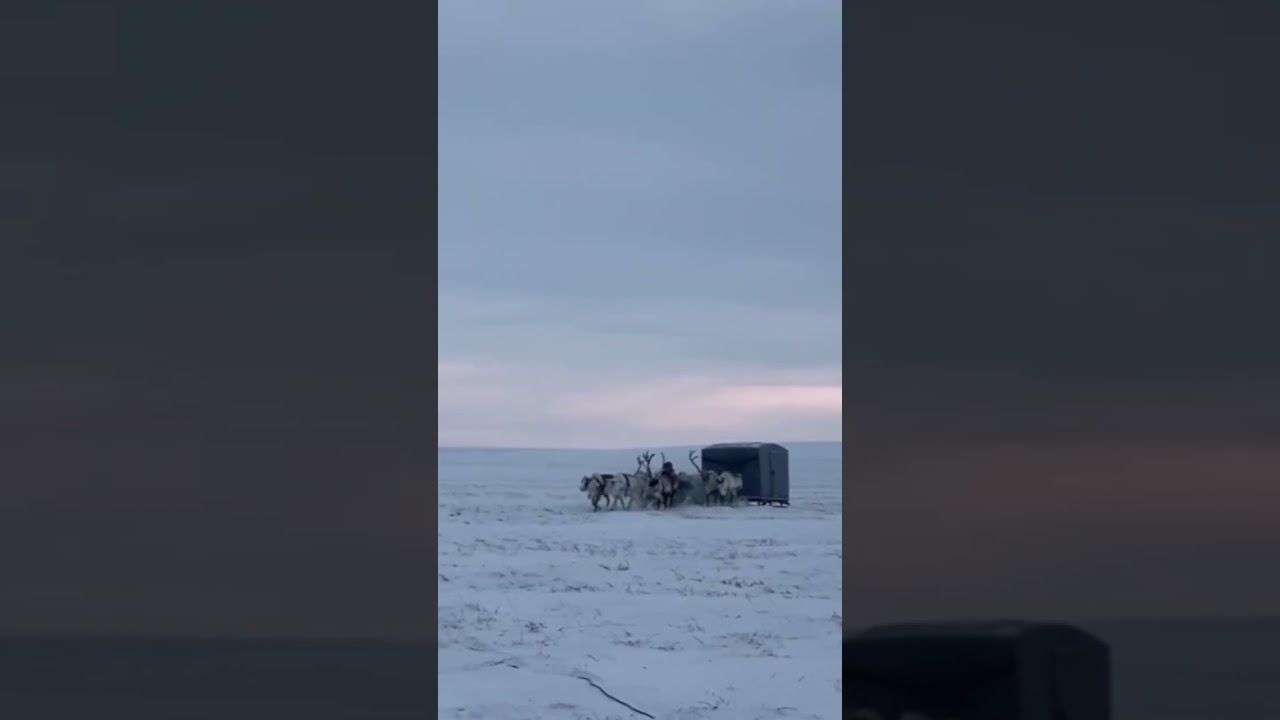 Nomadic Life Dolgan Nomads Artic travel 