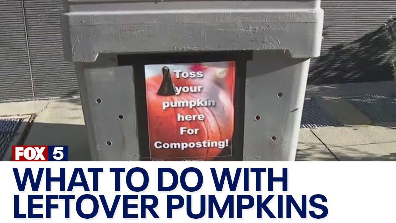 what-to-do-with-leftover-pumpkins-youtube