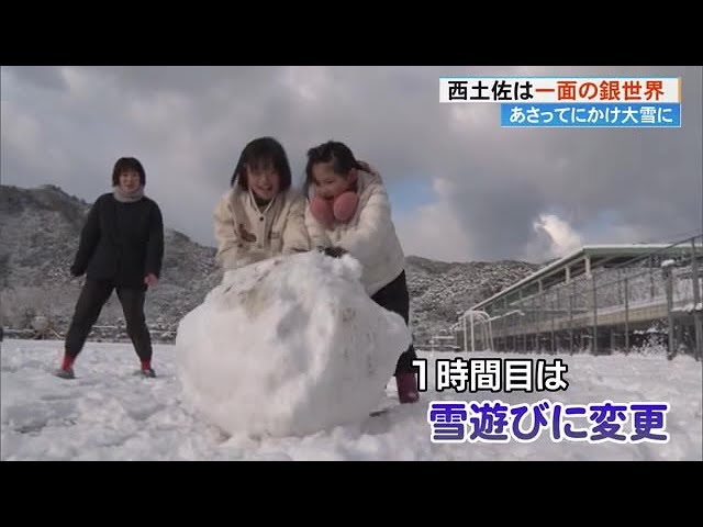 Elementary school student: 