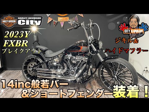 試走のみ カスタム 自転車 ユニオンジャック 14インチ 試走のみ カスタム 自転車 ユニオンジャック 14インチ 試走のみ