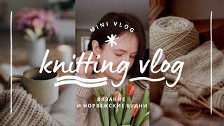 : vlog 15/24 |              