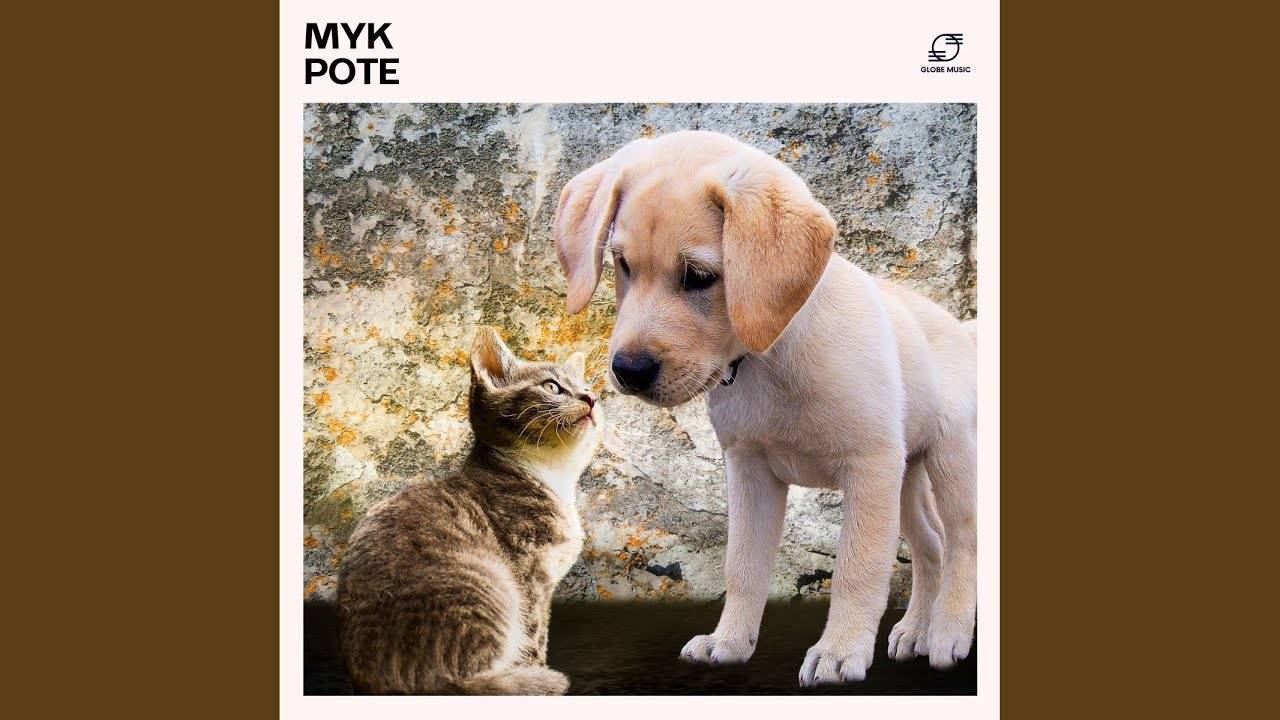 Beroligende Musikk for Hunder