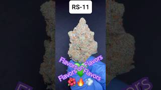 Taste These #Exotic #THCA Flavors Before They’re Gone! #Cannabis #Dispensary #SanAntonio #Texas