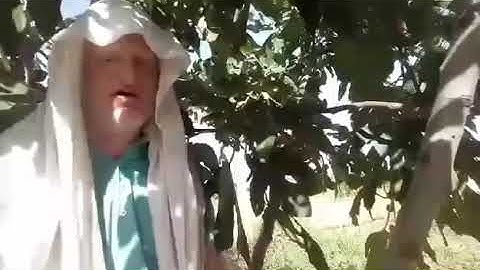 سورة البينة كاملا عامر جبو