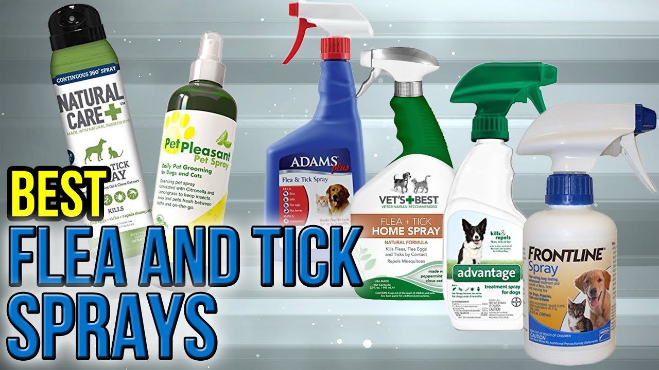 best natural tick and flea repellent for dogs