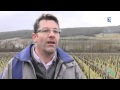 Ref:eekhmH4hAYc Viticulture : comment tailler la vigne avec une m�t�o si douce