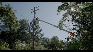 Famous Early Fault Detection Line Sensors Proactively Mitigate Hazards on the Grid Wealth