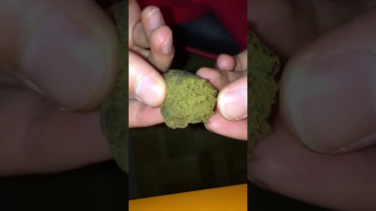 Amnésia Hash Bleyside (EXCLU)