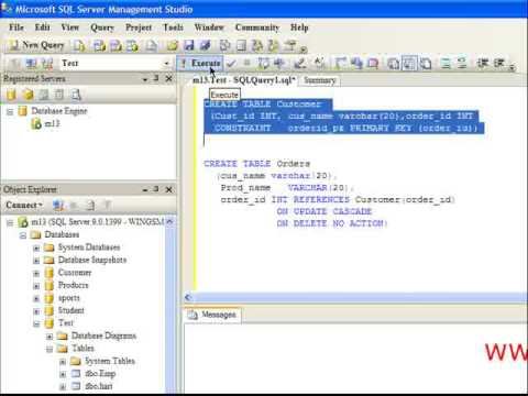 Working with constraints in SQL Server 2005 - wingslive