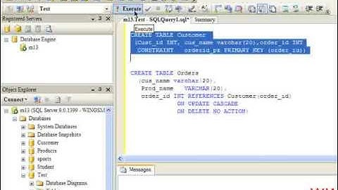 Working with constraints in SQL Server 2005 - wingslive