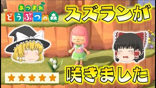 とび森 村メロ 星に願いを ディズニーのyoutube動画統計 Noxinfluencer