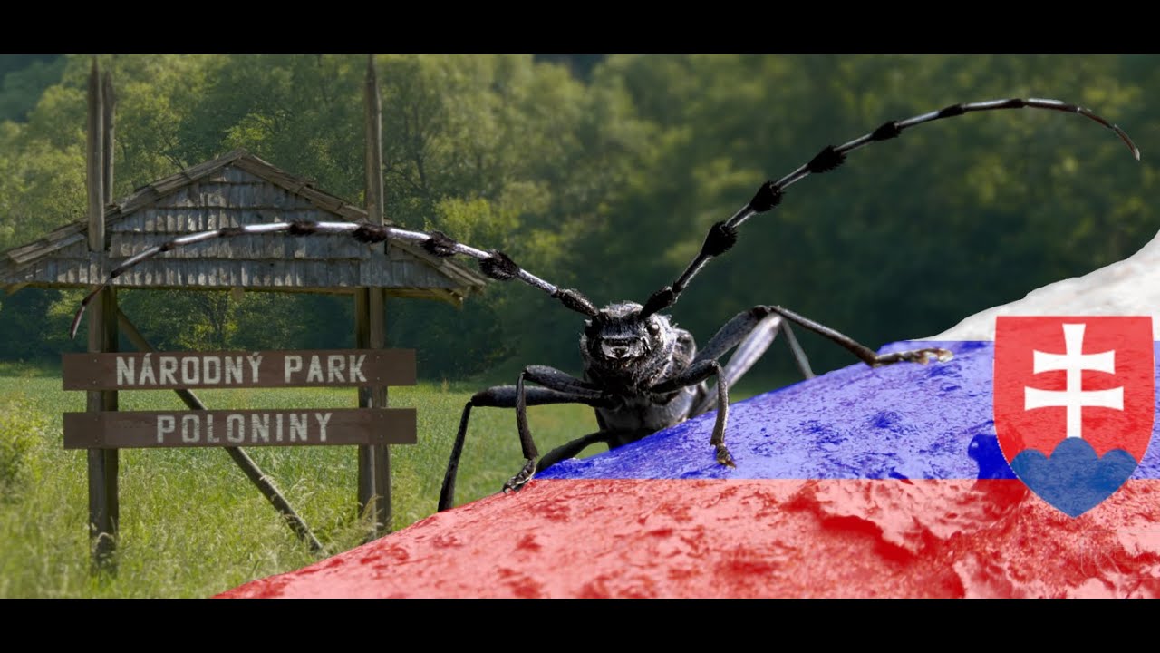 Nationalpark Poloniny - Die letzten Urwälder Europas - Slowakei Karpaten (so slovenskými titulkami)