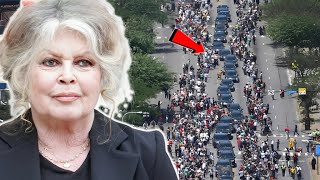Brigitte Bardot Funeral Update |  France Honors Brigitte Bardot  Life Legacy And Family Tribute !!!
