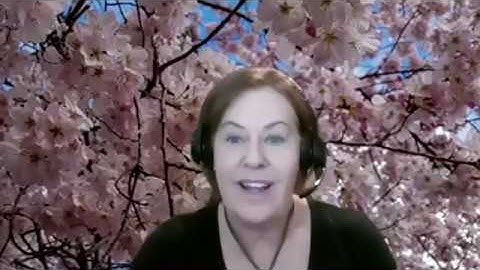 RSI Webinar 1: An Overview of Remote Simultaneous Interpreting