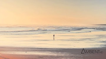 Solar Fields - The Missing