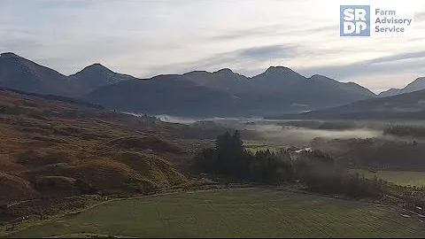 Farming with trees: Integrating trees into an upland farm