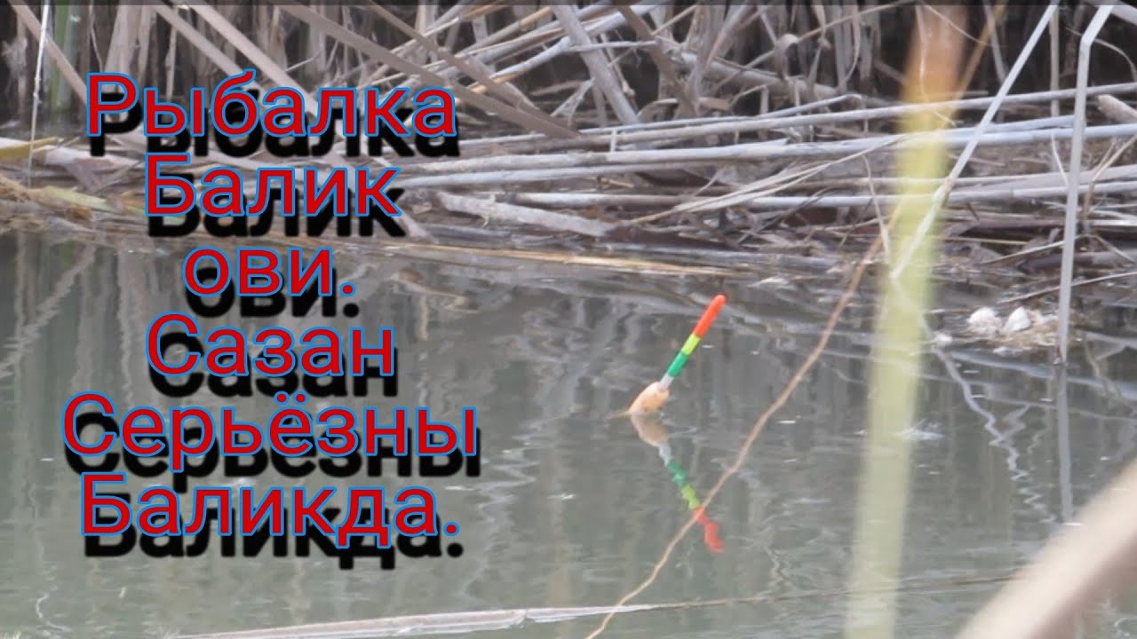 Нима килишка хам хайронман.🙄🙄🙄