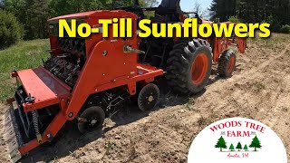 Tar River No-Till Drill Calibration & Planting Sunflowers