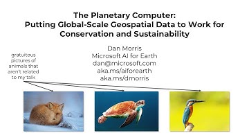The Planetary Computer: Putting Global-Scale Geospatial Data to Work