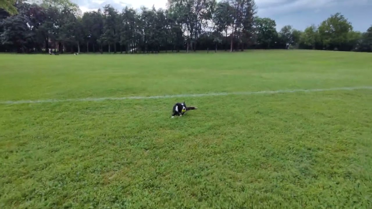 Oscar's Tunnel to the quantum realm 20082022