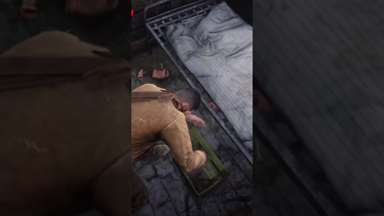 RDR2 Secret and Hidden lockbox 