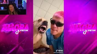 Taina Costa Tente Não Rir Kkkkk