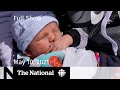 CBC News: The National | Ottawa baby snatched from mom; Wait for 2nd vaccine dose | May 10, 2021