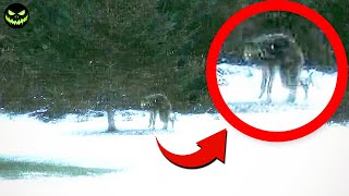 13 Unexplained Creatures and Ghosts Caught on Video 13 Unexplained Creatures and Ghosts Caught on Video