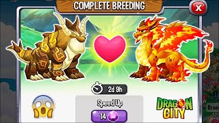 Dragon City: Double Flame Dragon vs Double Terra Dragon [EXCLUSIVE BREEDING] 😱