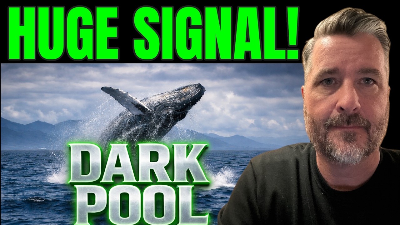 THE WHALES ARE BUYING: Micron’s $600M Dark Pool Secrets! 🚀