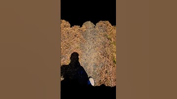 You learn more from failure than from success. Don’t let it stop you. Failure builds character 😱♥️