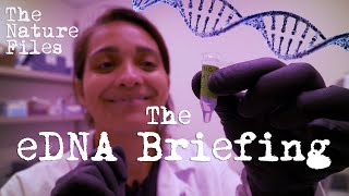 The Nature Files (Ep. 1): The eDNA Briefing