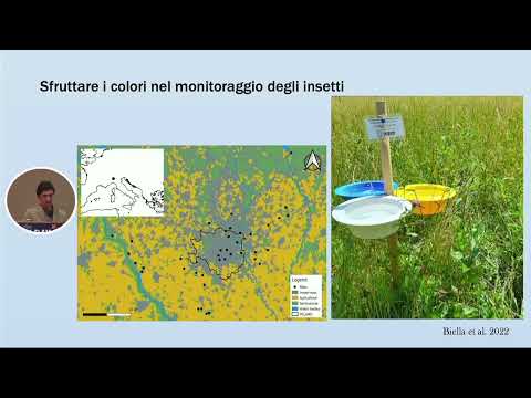 Video: La forma del fiore è importante: diverse forme di fiori per gli impollinatori