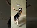#bigguy