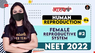 Human Reproduction Class 12 #4 - Female Reproductive System #2 | NEET 2022 Preparation |NEET Biology