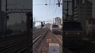 JR神戸線 元町 EF66 コンテナ列車