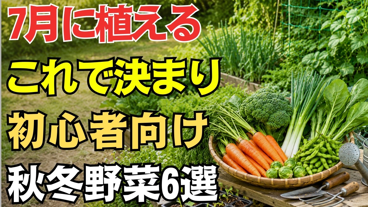 6 Vegetables to Plant in July! Recommended Easy-to-Grow Crops for