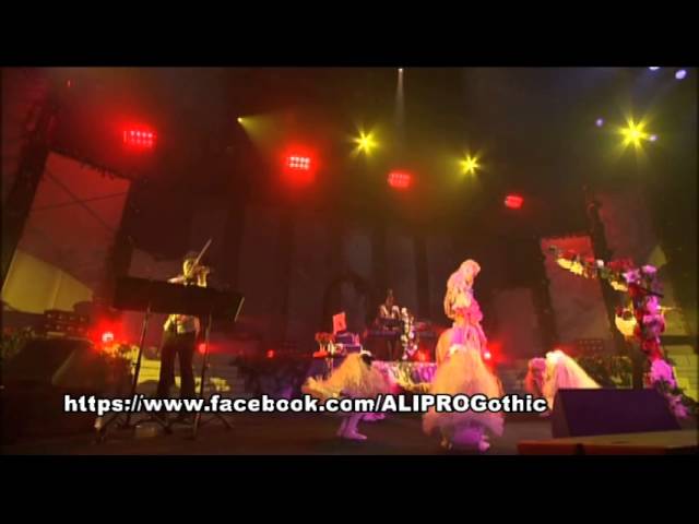 Dvd Ali Project 私の薔薇を喰みなさい 13 令嬢薔薇図鑑 顧客閲覧会 Youtube