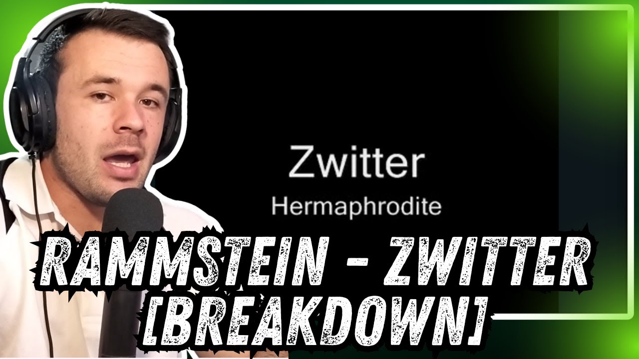 Обзор Rammstein – Zwitter [РАЗБОР]