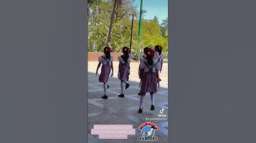 Thumbnail of Escolta de Bandera Escolar 🇲🇽 #bandadeguerra #palomazobandero #bandasdeguerra #tiktok #viral #band
